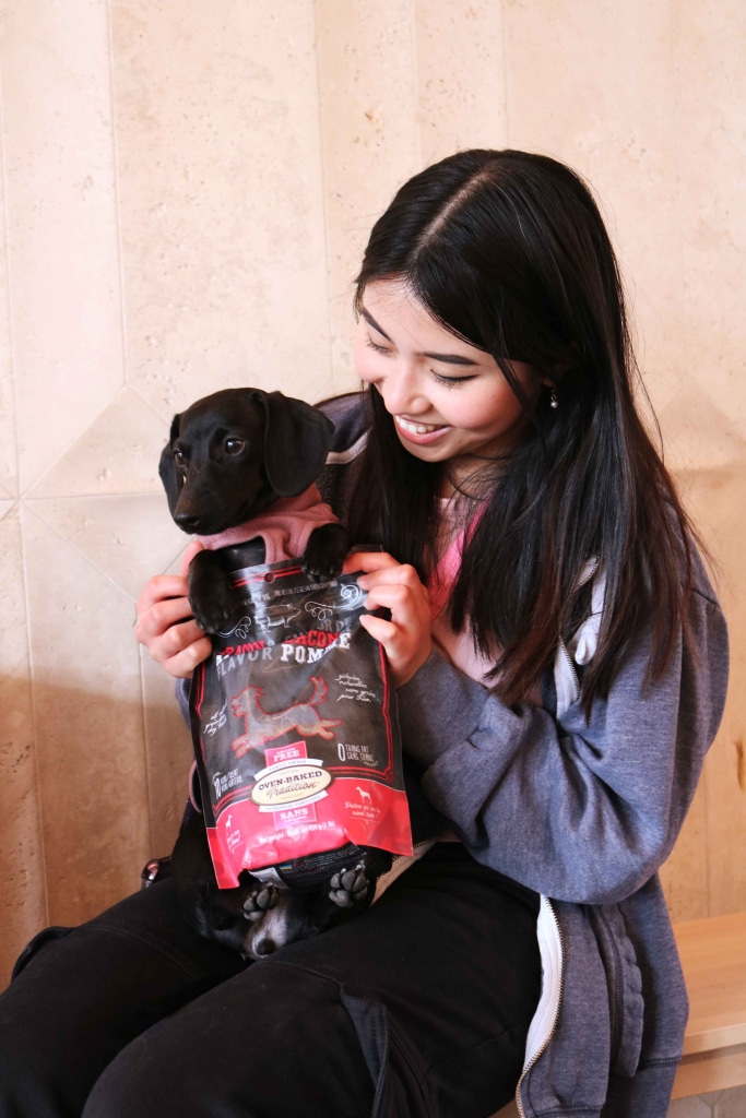 Puppy socializing with people with Oven-Baked Tradition bacon and apple dog treats