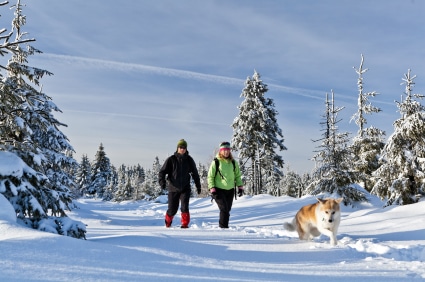 couple hiking with dog in winter mountains