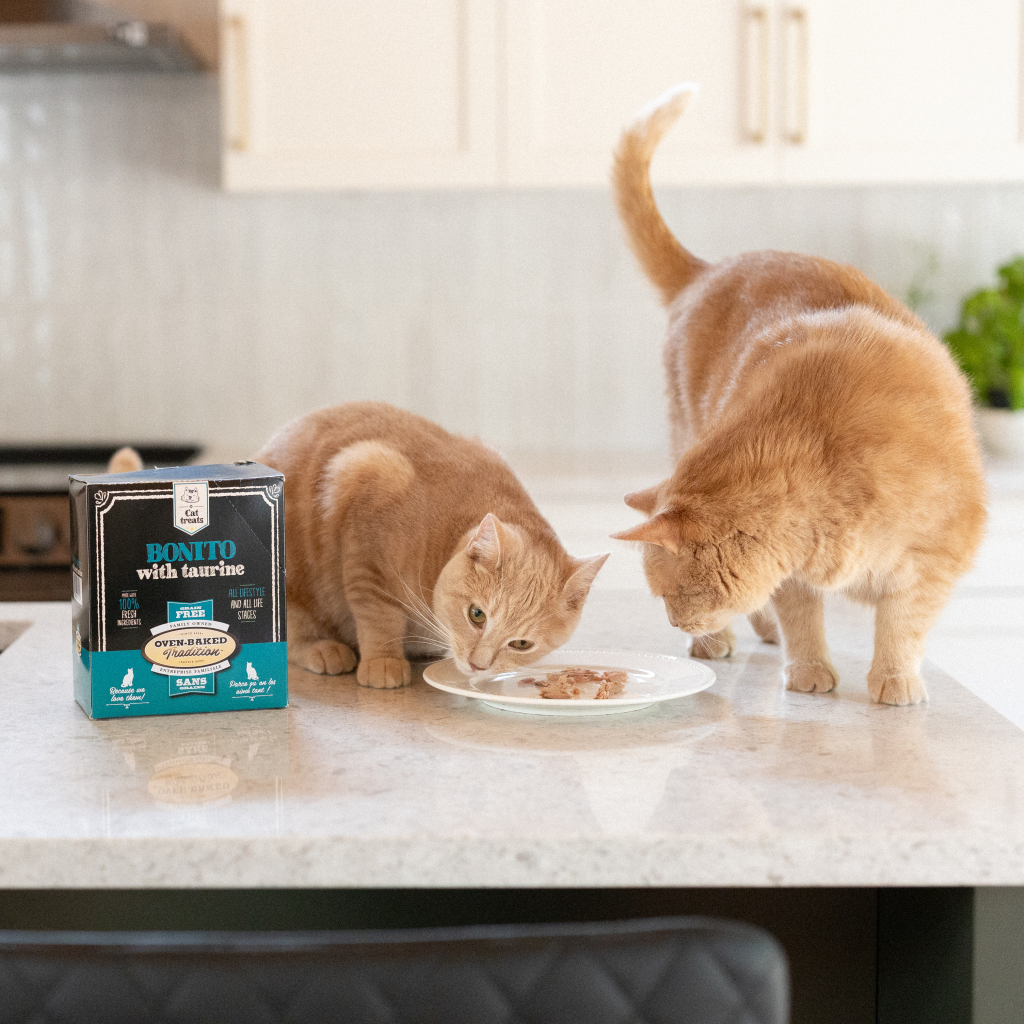 Food Allergies and Food Intolerances in Dogs and Cats 29 Two cats tasting hypoallergenic bonito fillet with taurine by Oven-Baked Tradition