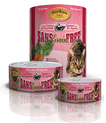 chat-saumon-conserve-page