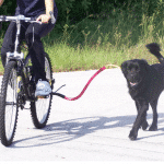 Source: Bike Tow Leash