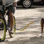 Source: Bike Tow Leash
