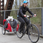 Source: Doggyride