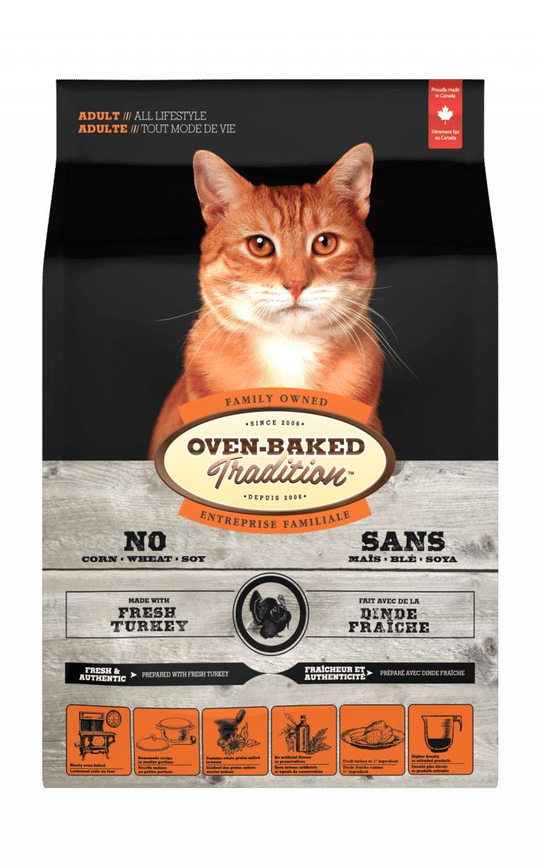Cat - Oven-Baked Tradition