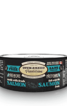 Can chat saumon 155g