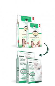 OBT Care Urinary NewLook Website Sacs EN 1