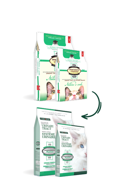 OBT Care Urinary NewLook Website Sacs EN 1