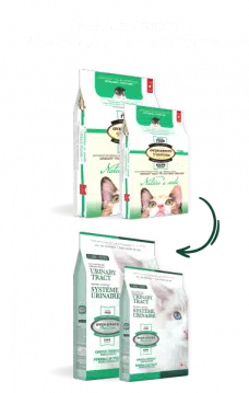 OBT Care Urinary NewLook Website Sacs FR 1