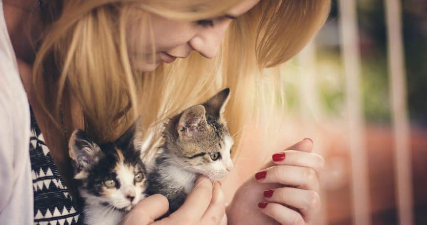 Nos merveilleux amis les animaux! 13 obtblogue juillet 20201 resize 1