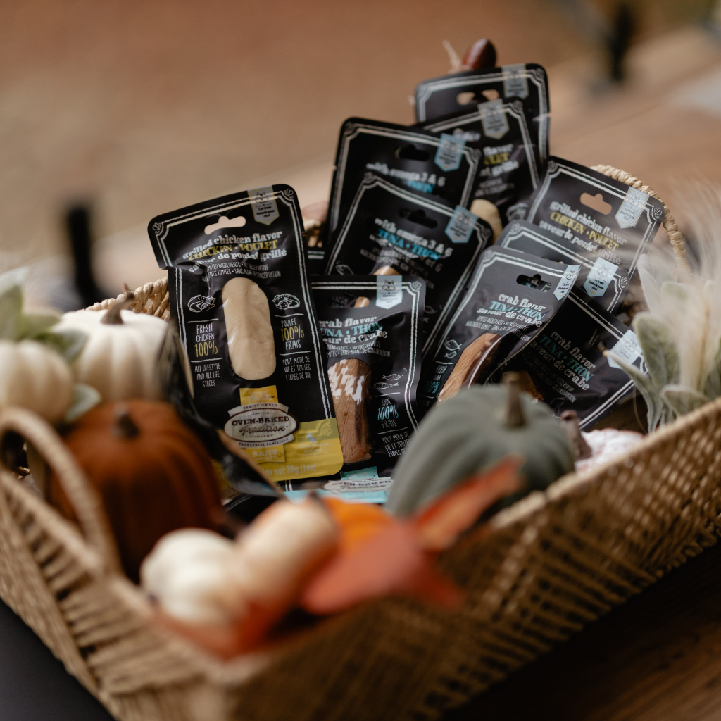 La peur chez le chat : comprendre, détecter et apaiser 2 Filets pour chats Oven-Baked Tradition aux saveurs de crabe, poulet grillé et thon, présentés dans un panier automnal