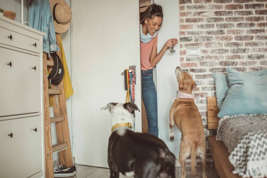 LES CHIENS PLEURENT DE JOIE LORSQU’ILS RETROUVENT LEUR HUMAIN! 1 Photo blog 1