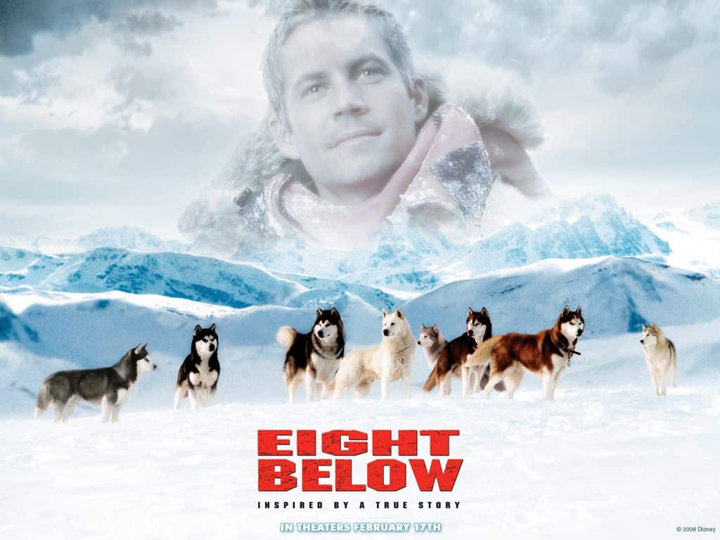 MUST-SEE MOVIES FOR YOUR HOLIDAY ENJOYMENT 4 980393cd924a640dabe15213b10e10bc
