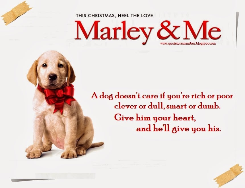 MUST-SEE MOVIES FOR YOUR HOLIDAY ENJOYMENT 3 Article ENG