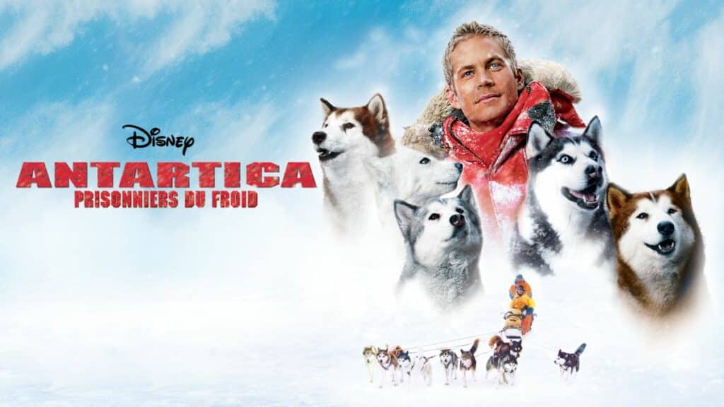 LES FILMS INCONTOURNABLES POUR TON CINÉMA DU TEMPS DES FÊTES 4 Article FR