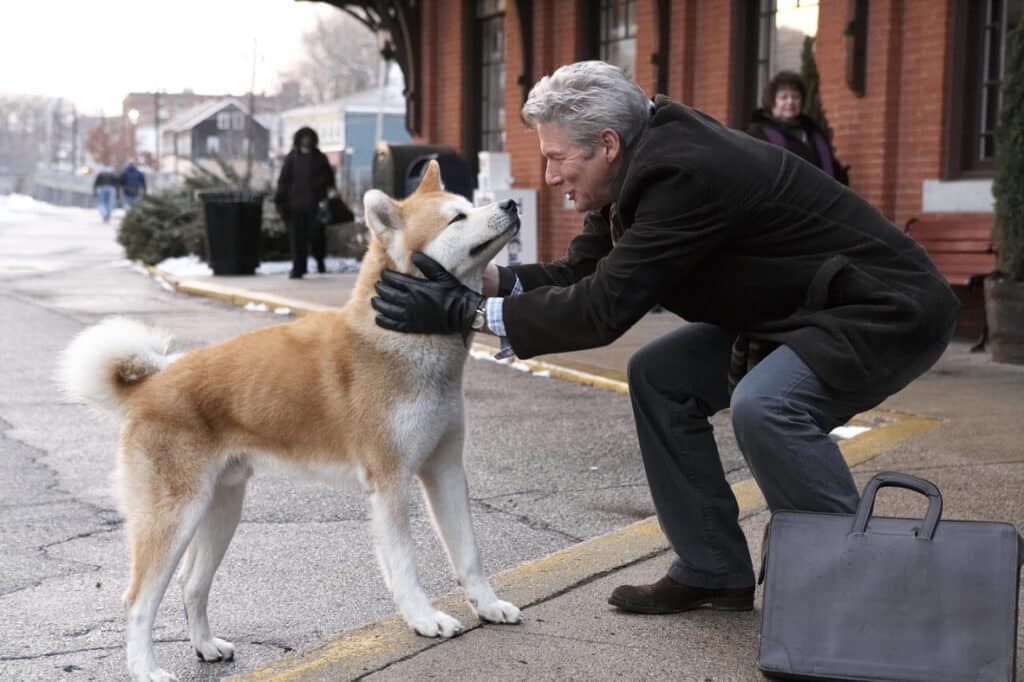 LES FILMS INCONTOURNABLES POUR TON CINÉMA DU TEMPS DES FÊTES 2 Article Hatchi FR ENG