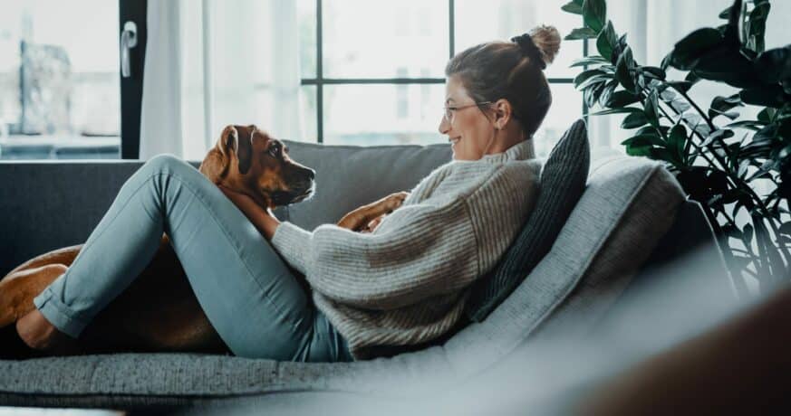 5 CONSEILS POUR AMÉLIORER LA QUALITÉ DE VIE DE VOTRE COMPAGNON 12 Article 6