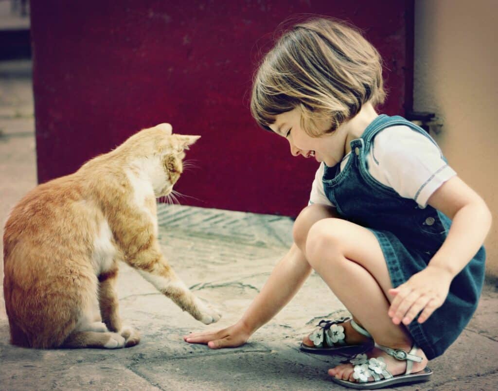 HOW TO TELL YOUR CATS THAT YOU LOVE THEM? 1 Article 1