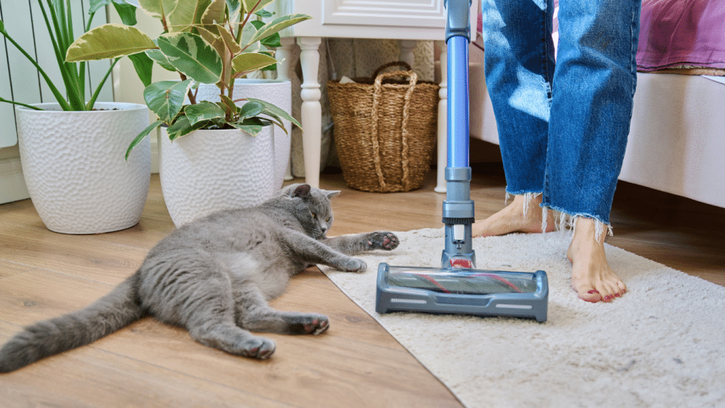 QUEL EST LE MEILLEUR ASPIRATEUR POUR LES POILS D'ANIMAUX?