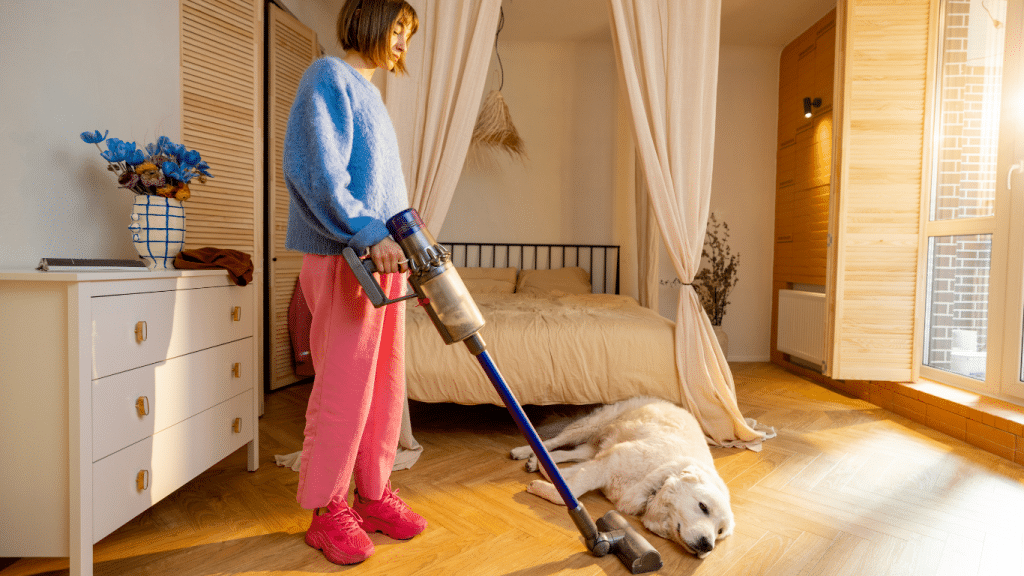 Aspirateur pour animaux