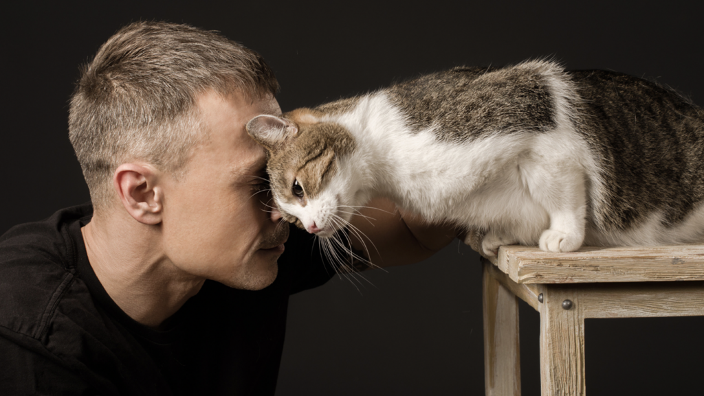 COMMENT VIVRE LE DEUIL ANIMALIER? 2 Capture decran le 2024 05 29 a 13.15.44