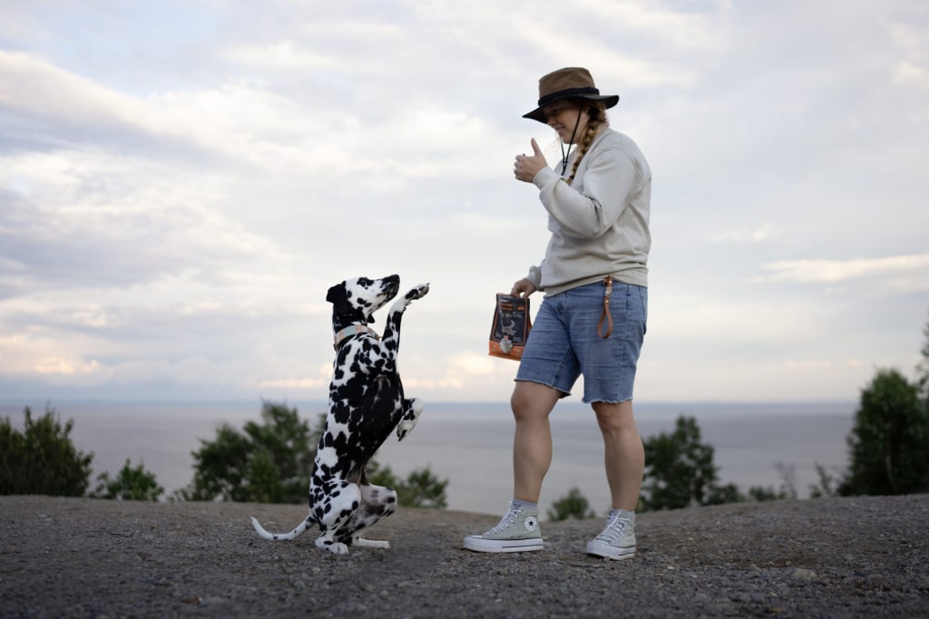 Dog receiving an Oven-Baked Tradition treat as a reward during training