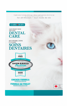 Cat Dental Care 3D Front Chat Soins Dentaire 3D 2024 Face v2