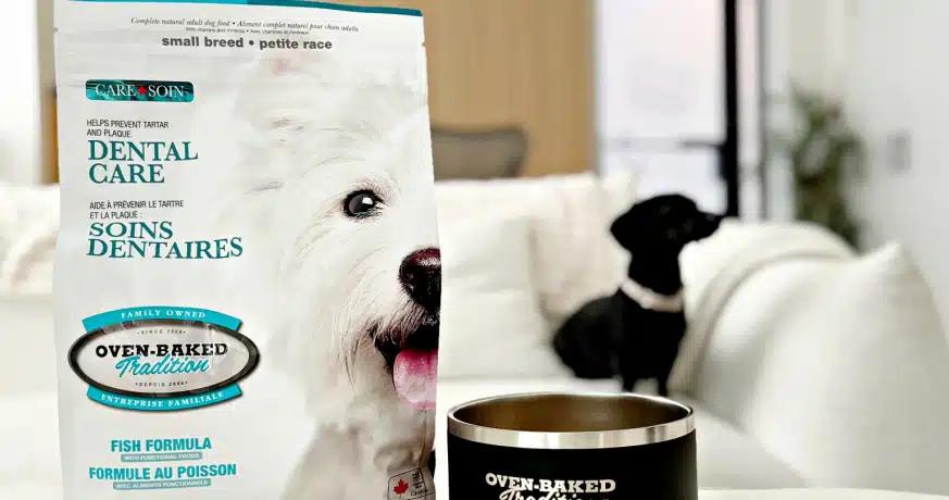 Oven-Baked Tradition Dental Care
