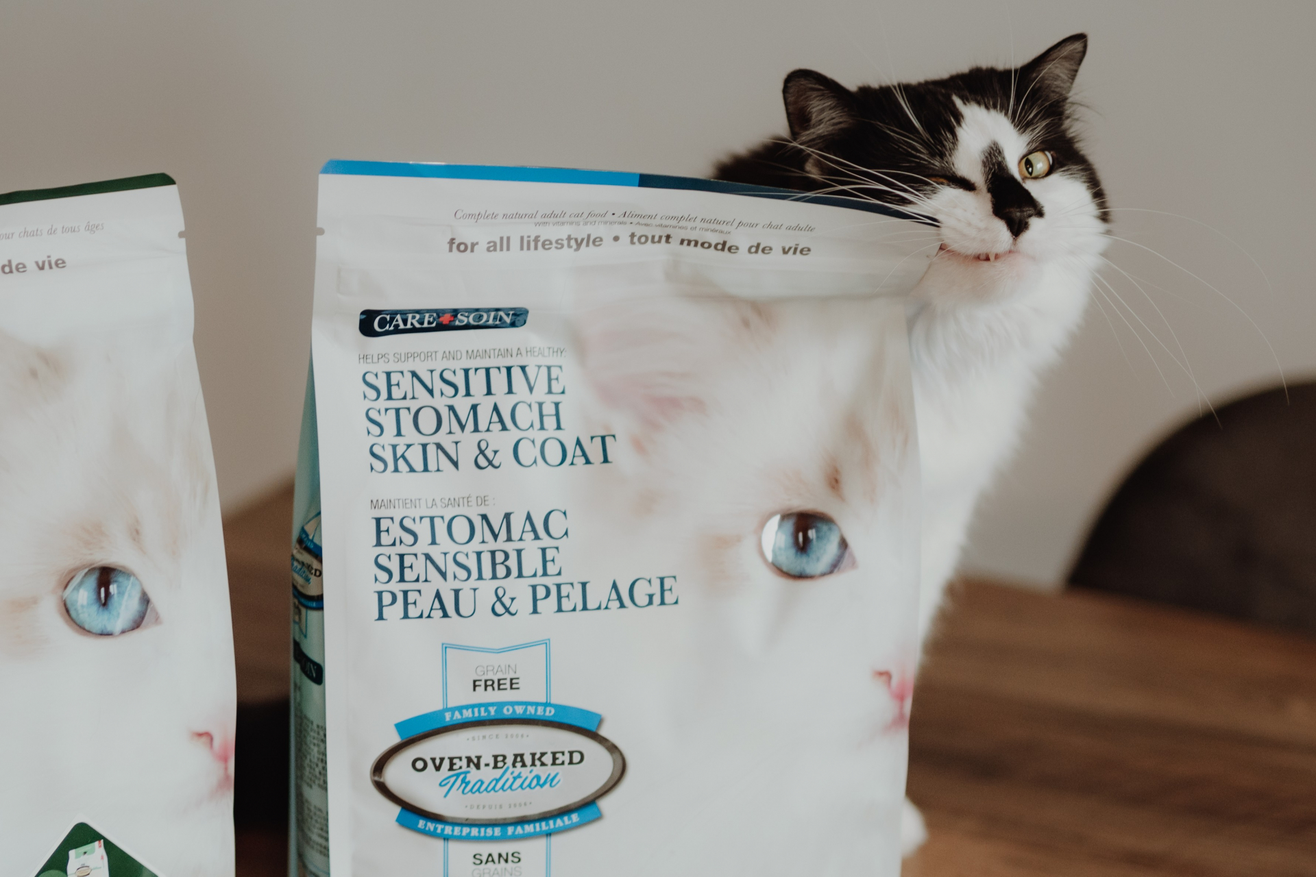 Reconnaître les troubles de santé chez votre chat | Oven-Baked Tradition, image size:1920x1280