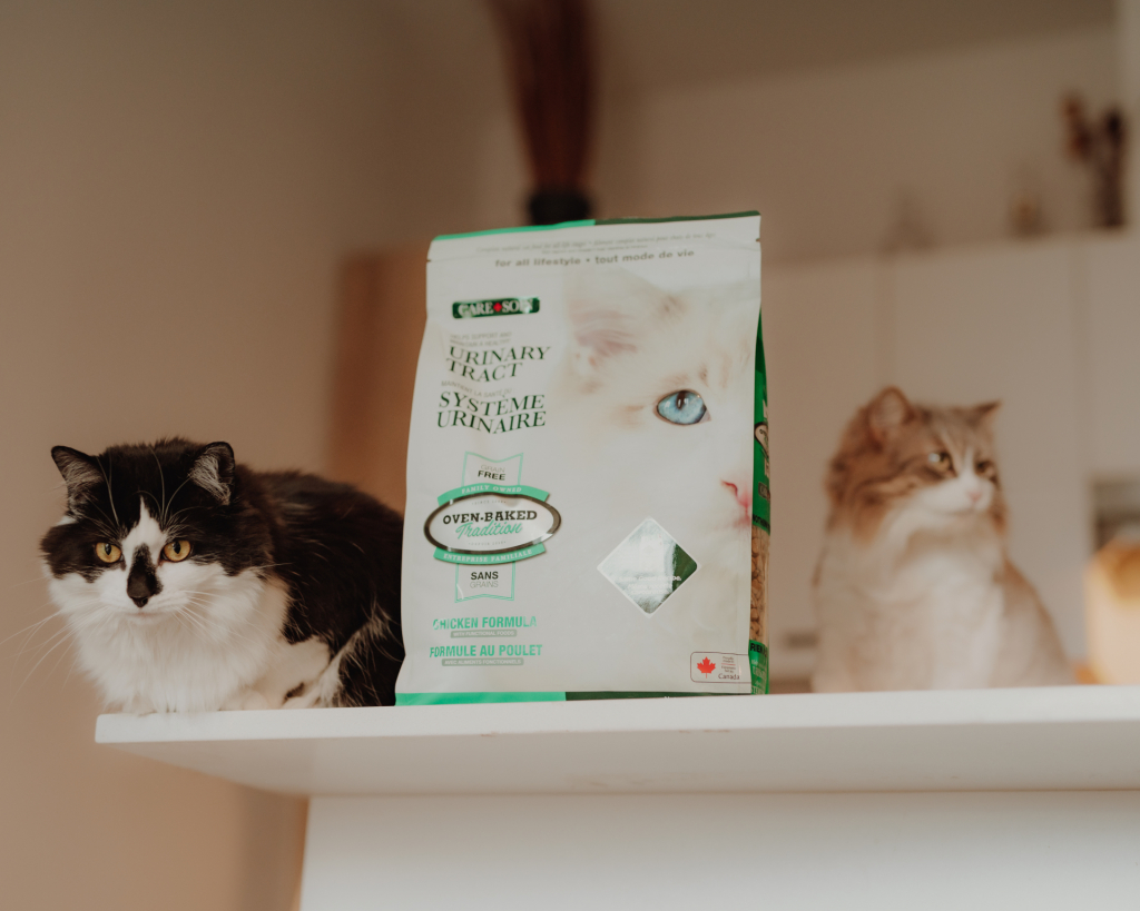 Deux chats assis près d’un sac de nourriture Oven-Baked Tradition, symbole d’une alimentation saine pour chats.