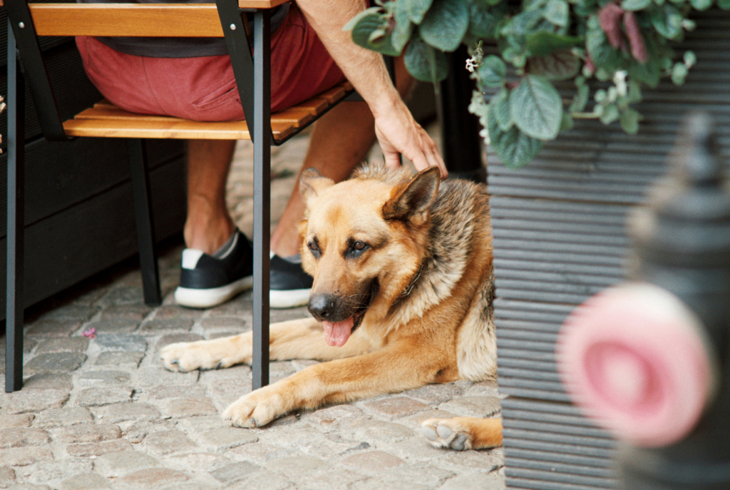 andrew keymaster JS7r9o2c2mw unsplash