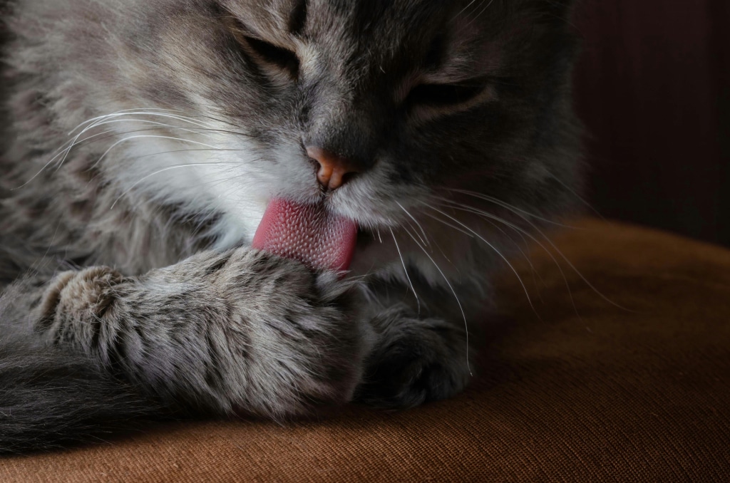 andrey soldatov ynyPX1YwLVM unsplash