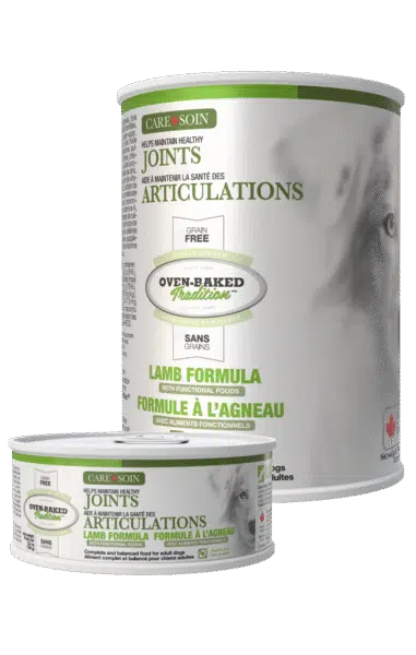 OBT WebSite Care Cans Dog Joints v2