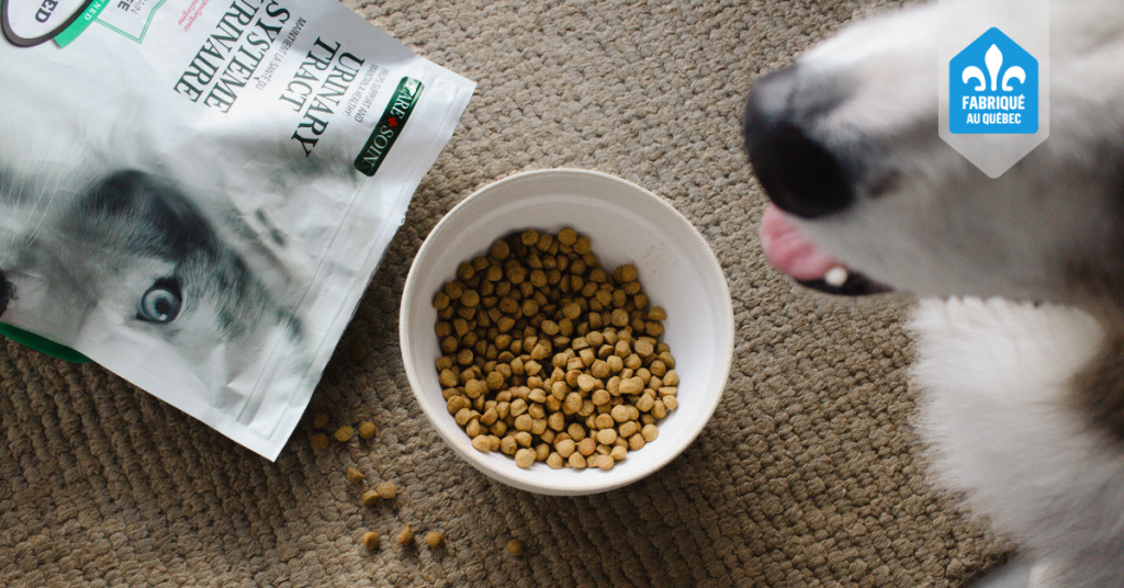 Bol de croquettes pour animaux à côté d’un sac de nourriture Oven-Baked Tradition pour le soin du système urinaire des chiens, avec un badge « Fabriqué au Québec» visible, illustrant la gamme Care dédiée au bien-être animal.