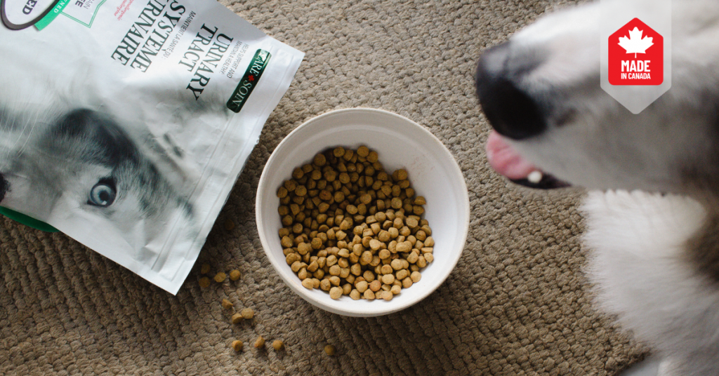 Bowl of pet food next to a bag of Oven-Baked Tradition urinary tract care formula for dogs, featuring a “Made in Canada” badge, highlighting the Care product line focused on pet wellness.