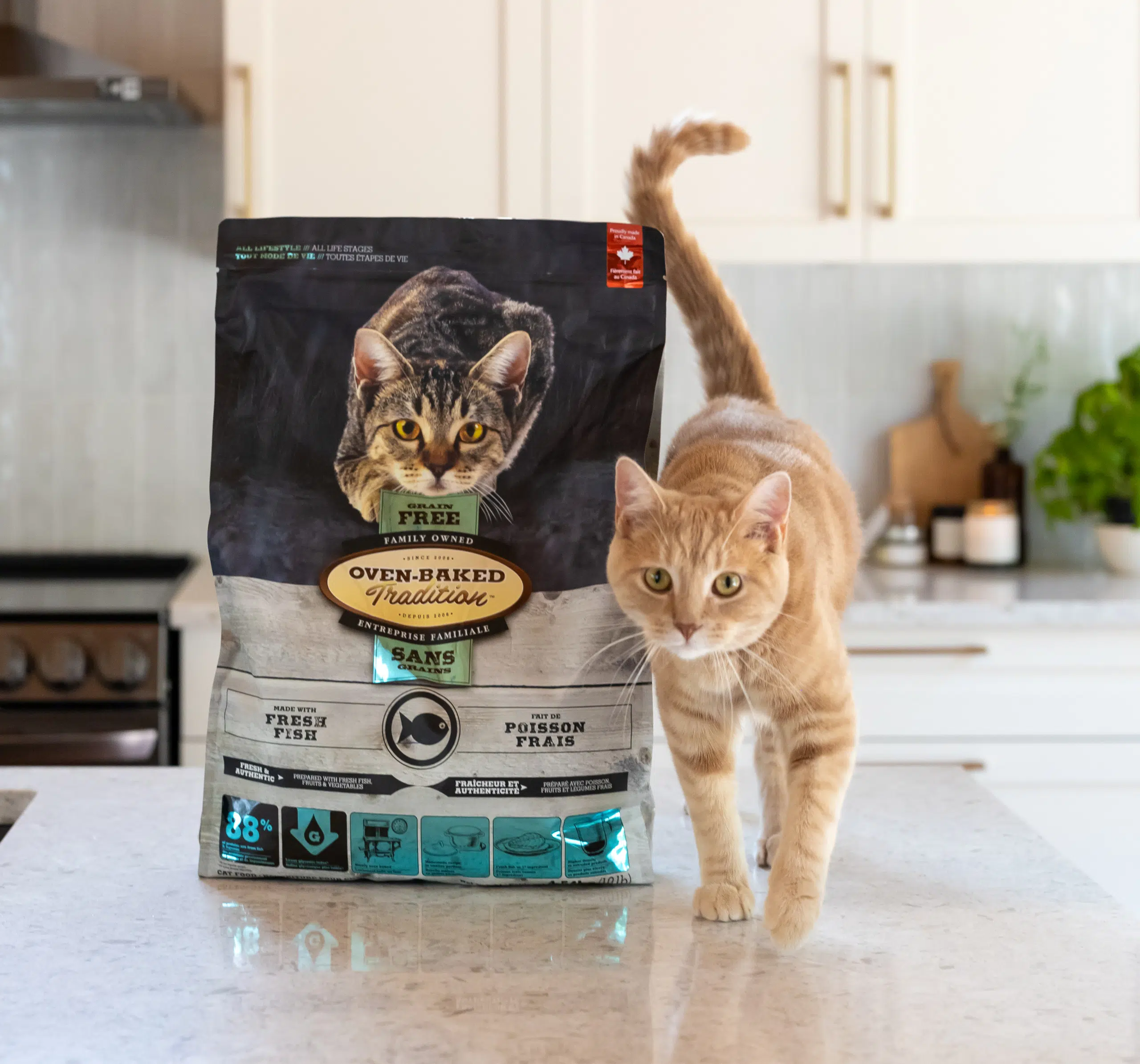 Obésité et diabète chez le chien et le chat 5 Chat à côté d’un sac de nourriture Oven-Baked Tradition sans grains, idéale pour prévenir le diabète et le surpoids chez les chats.