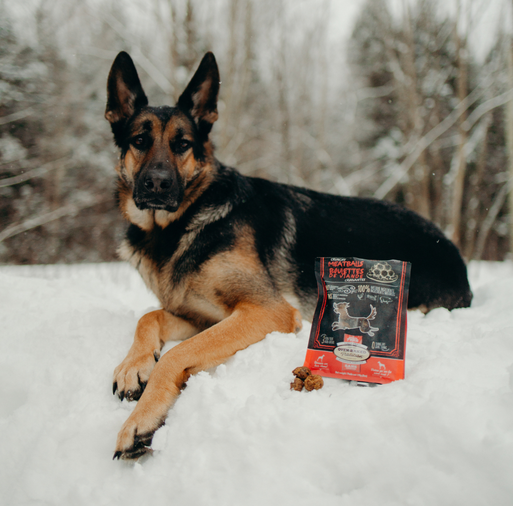 German Shepherd lying in the snow next to a bag of Oven-Baked Tradition treats, illustrating a natural reward for dog health and wellness.