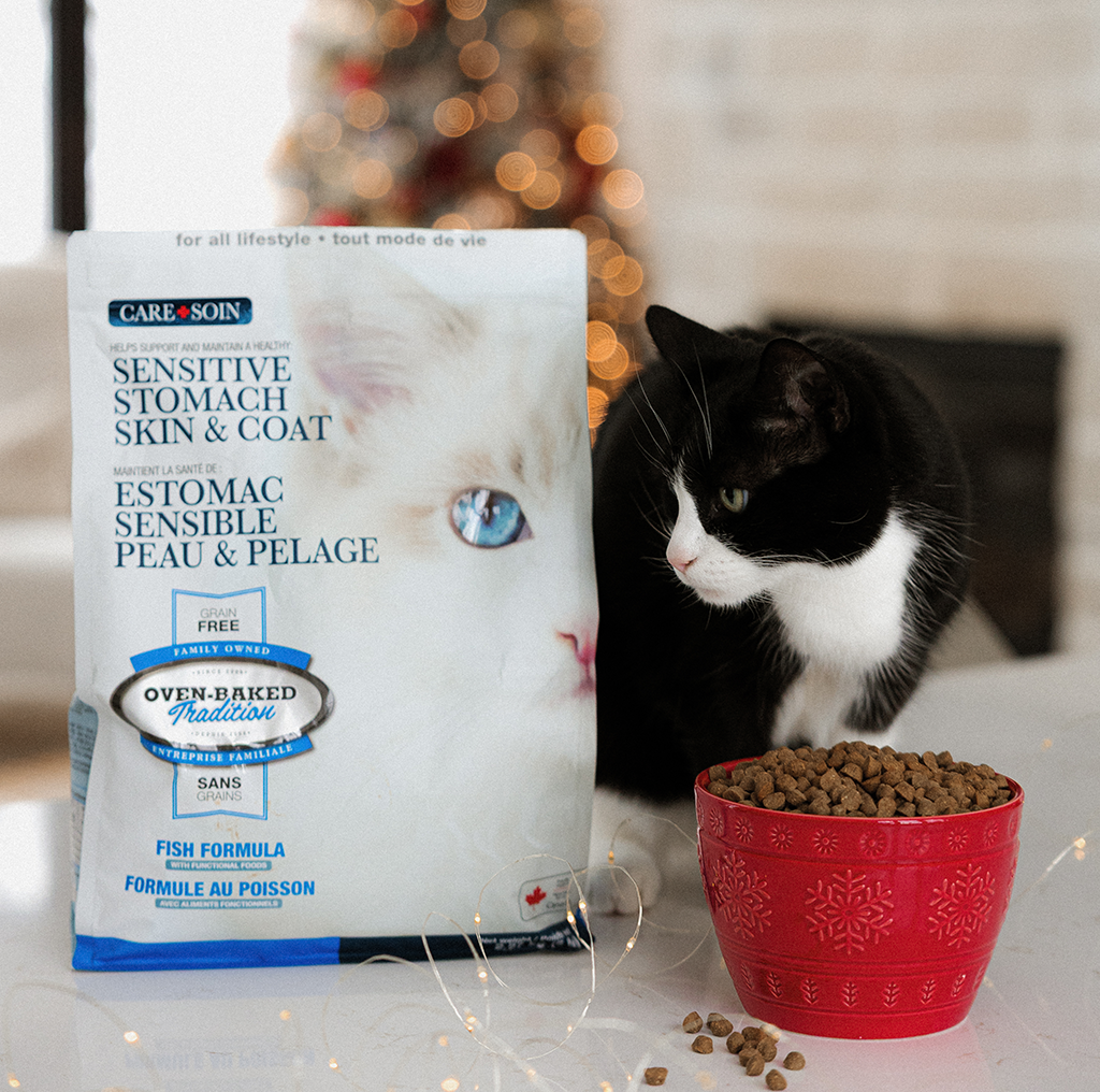 Cat Care Food oven baked tradition noel.jpg