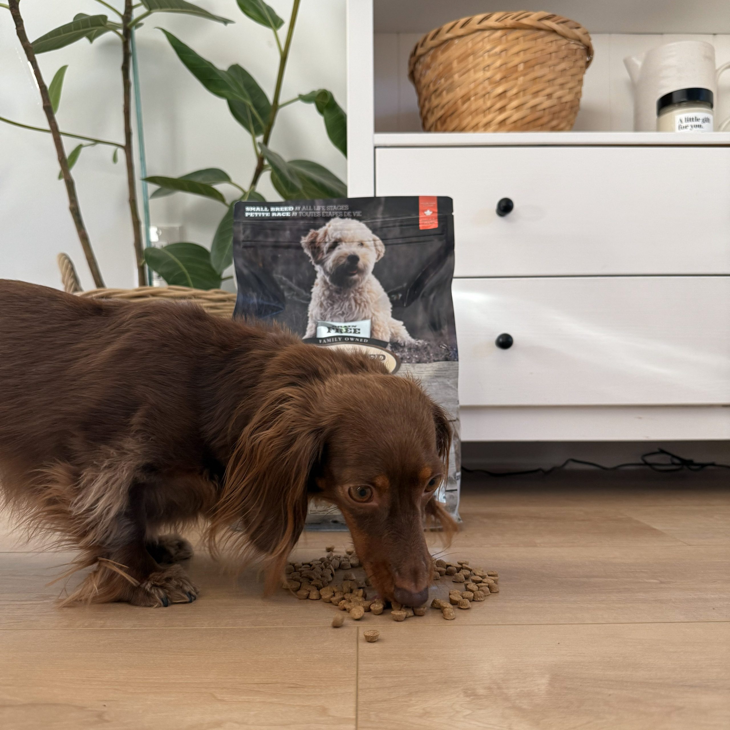 IMG 0223 edited scaled