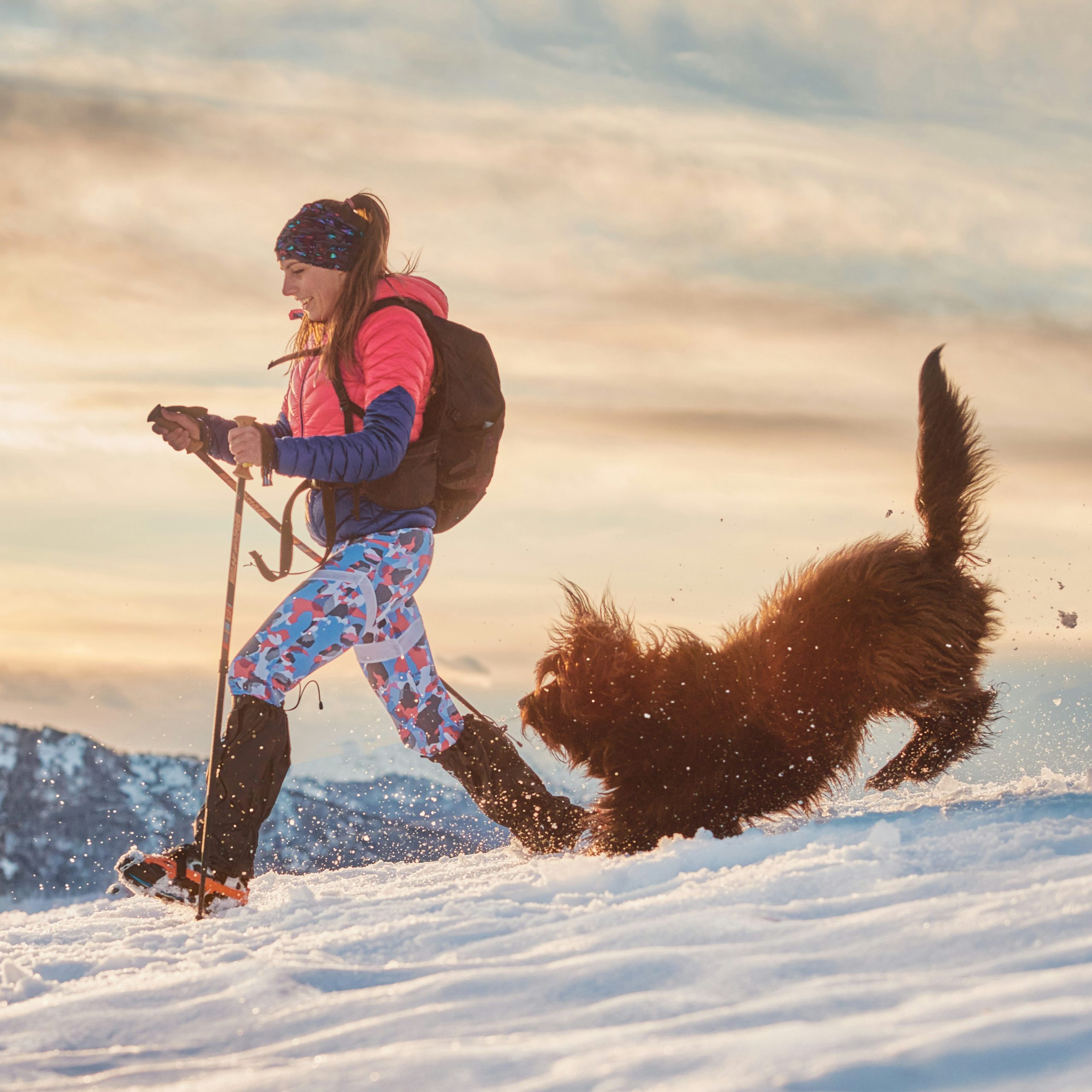Personne en raquettes avec son chien dans la neige au sommet d’une montagne, activité hivernale pour garder son chien actif – Oven-Baked Tradition