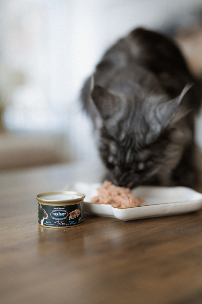 Hypoallergène ou sans poulet ? 18 Chat mangeant une entrée sans grains au thon avec glucosamine Oven-Baked Tradition