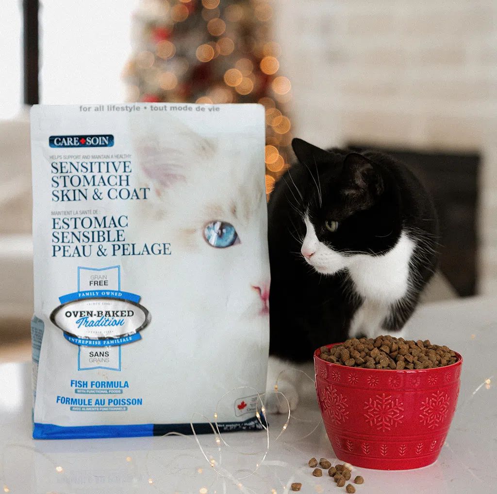 Chat à côté d’un sac de nourriture Oven-Baked Tradition gamme Soin, formule au poisson pour estomac sensible.