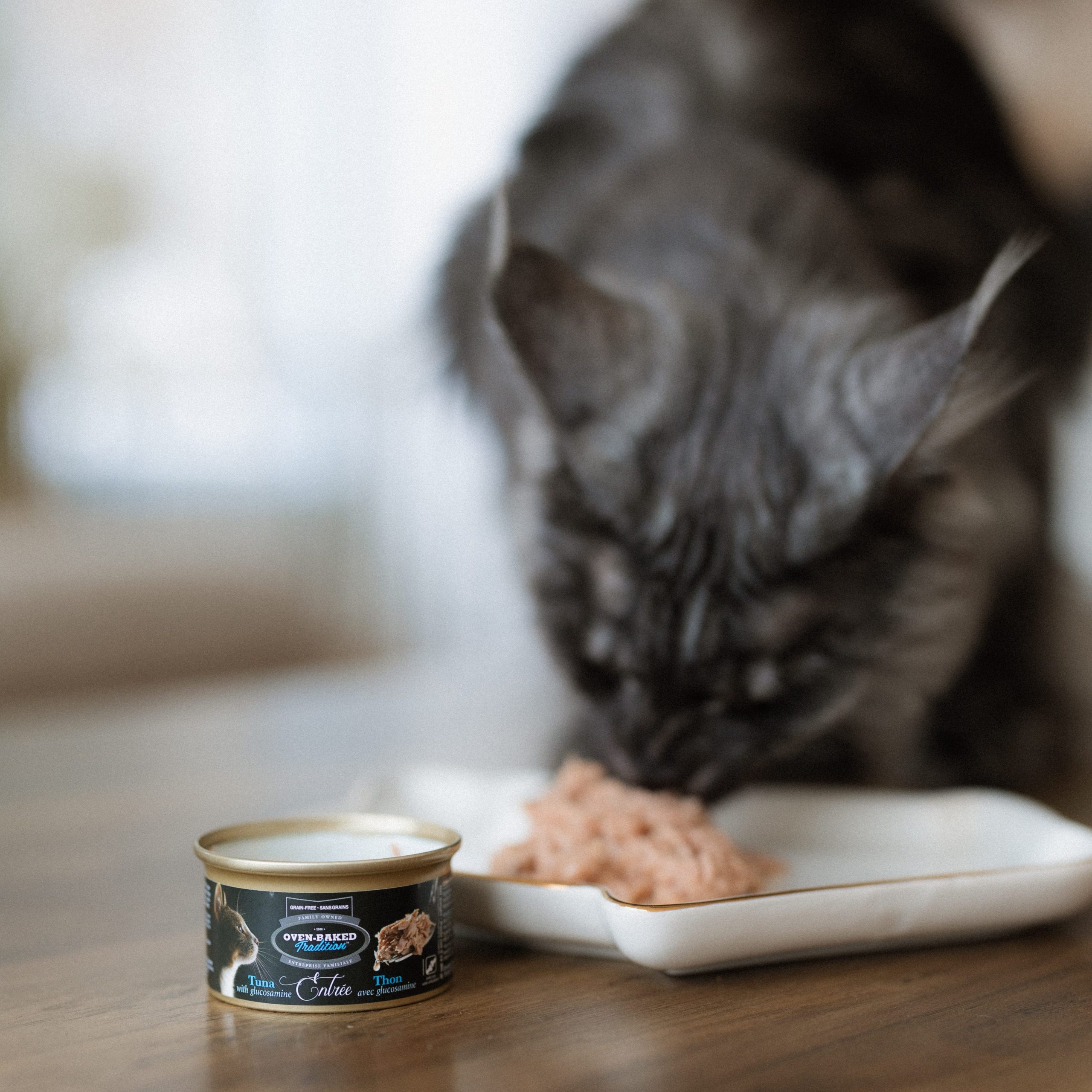 Hypoallergenic or chicken-free? 14 Cat eating Oven-Baked Tradition Hypoallergic Tuna Entrée wet cat food from a white dish, with the product can placed in the foreground on a wooden table