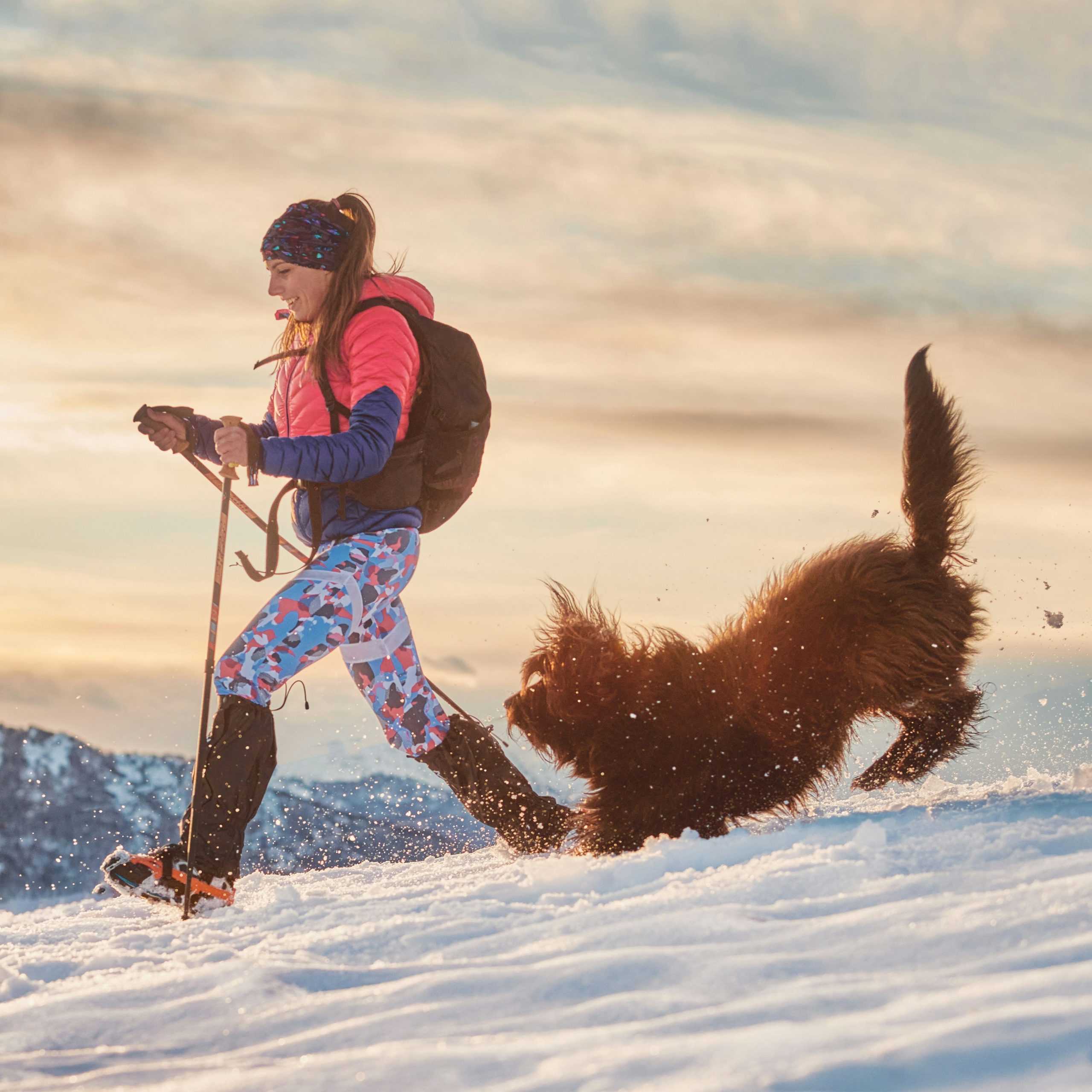 snowshoeing dog winter oven baked tradition.jpg edited scaled