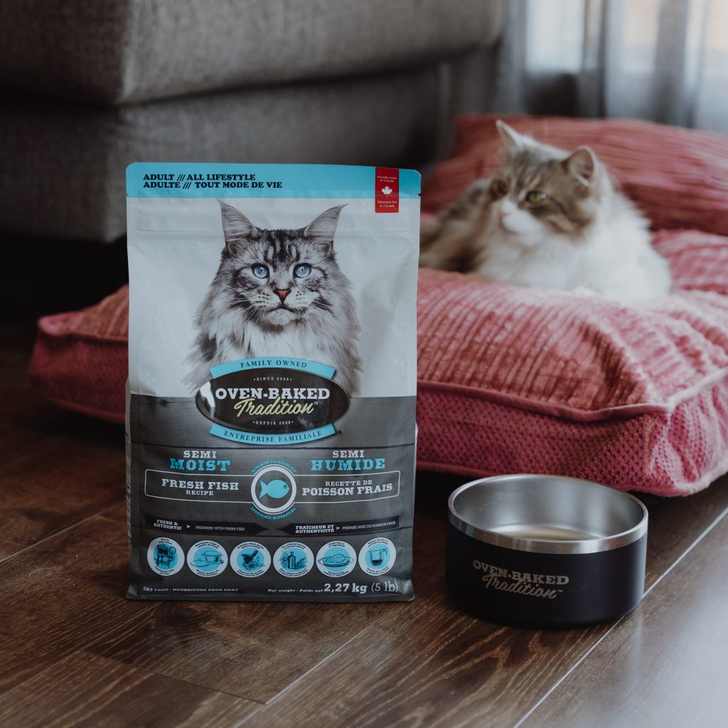 Chat adulte à côté d’un sac de nourriture pour chat semi-humide au poisson, lentement cuite au four, à texture tendre adaptée aux chats sensibles ou ayant des problèmes dentaires.