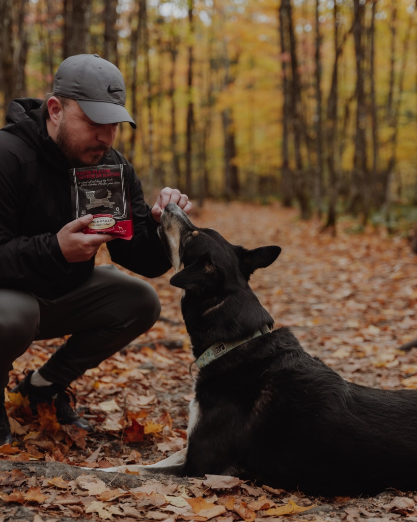 Homme en séance de dressage en forêt avec son fidèle chien recevant des gâteries d’entraînement Oven-Baked Tradition naturelles et tendres, saveur Bacon, fabriquées au Québec et cuites au four.
