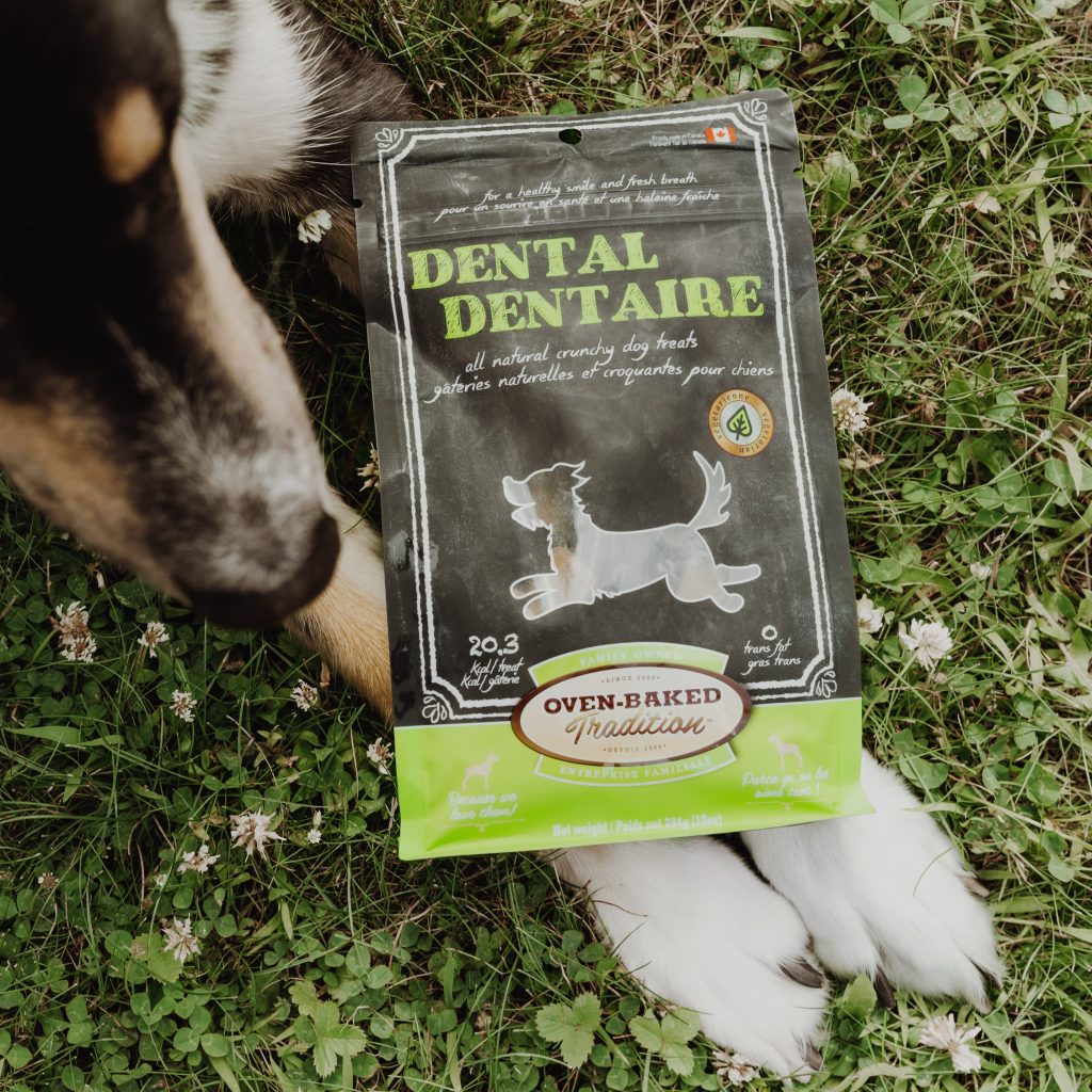 Chien couché sur l’herbe avec un sac de gâteries dentaires pour chiens – Oven-Baked Tradition