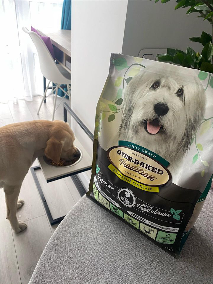 Hypoallergène ou sans poulet ? 17 Chien mangeant de la nourriture végétalienne hypoallergénique Oven-Baked Tradition