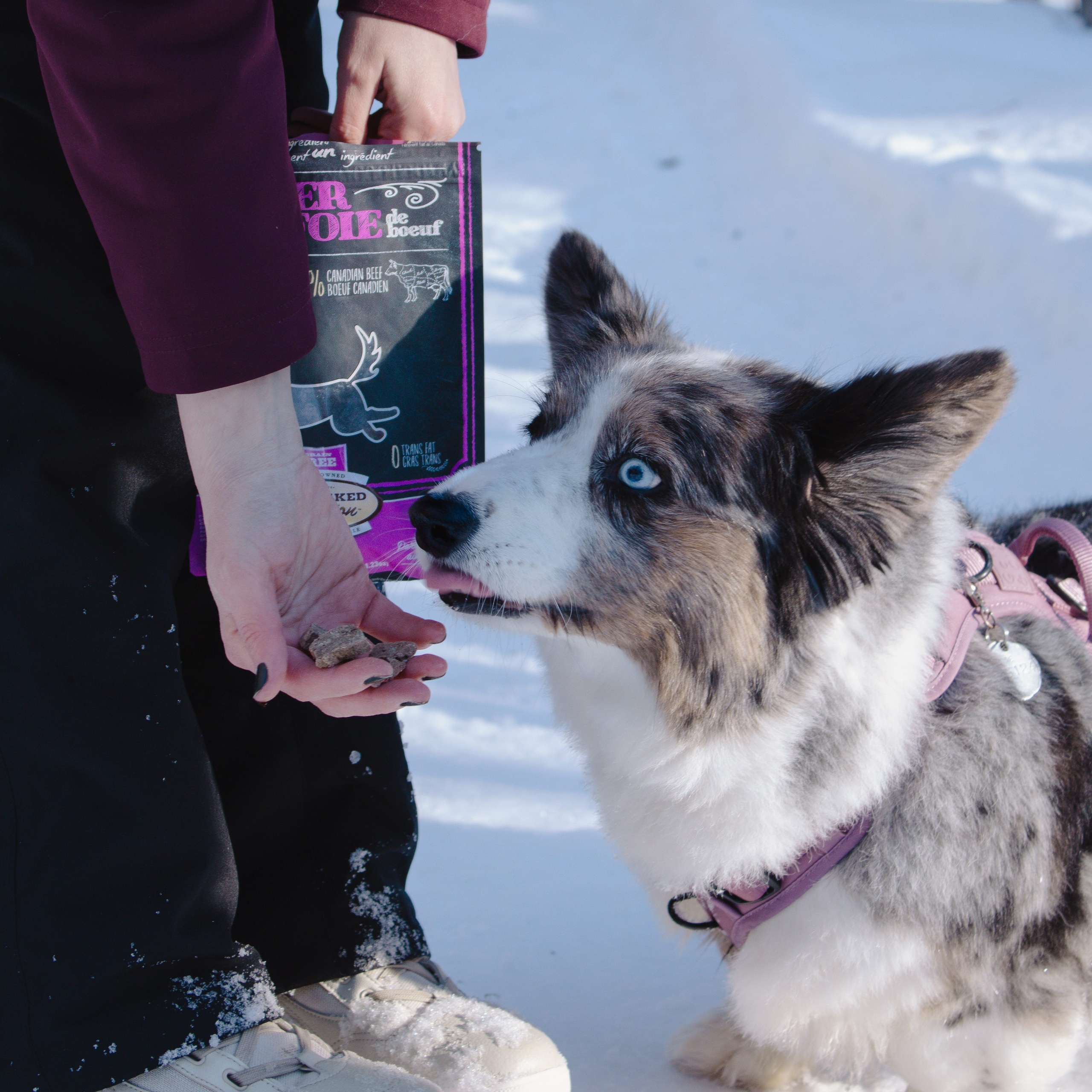 IMG 4101 edited scaled