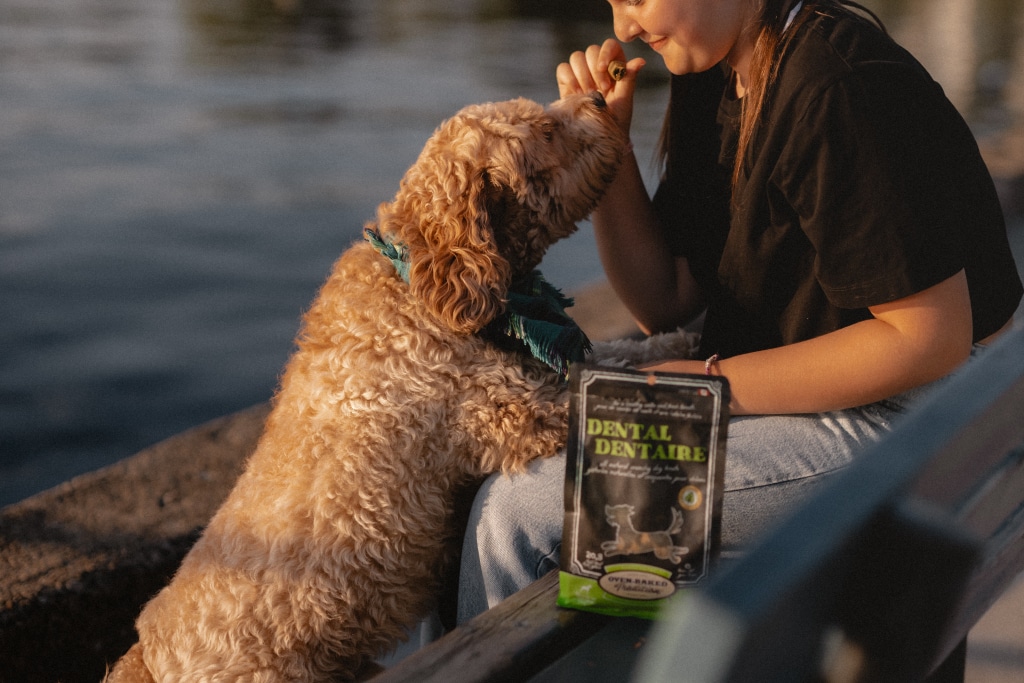 Chien heureux recevant une gâterie dentaire près d’un lac en été – Oven-Baked Tradition