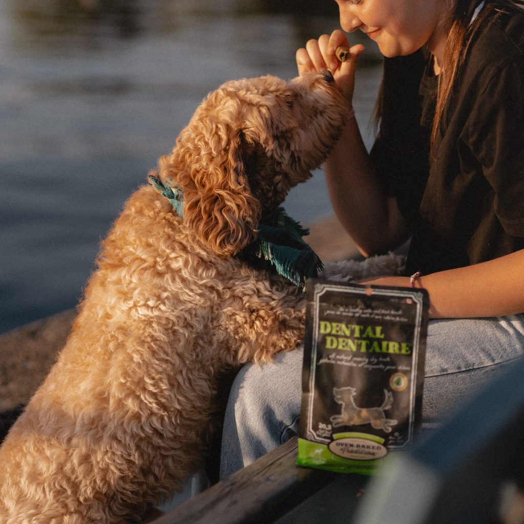 Chien heureux recevant une gâterie dentaire près d’un lac en été – Oven-Baked Tradition